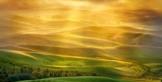 golden light palouse Beispielbilder